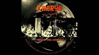 Embryo - Farid - Die Ursuppe