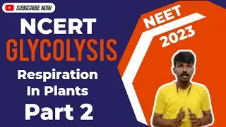 Glycolysis | EMP Pathway | Respiration In Plants | NCERT | NEET 2023 Preparation | Explained| Part 2