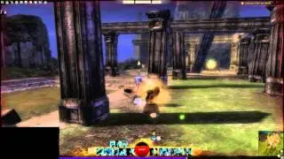 Guild Wars 2 WvW Golden Dolyak Finisher