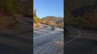 DUKE 250 CORNERING WITH MICHELIN ROAD 6 TYRE 📌
