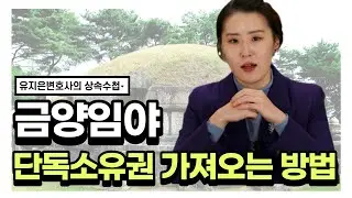 금양임야 인정요건, 제사주재자 변경, 등기에 필요한 절차