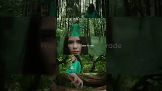 Split Screen #10