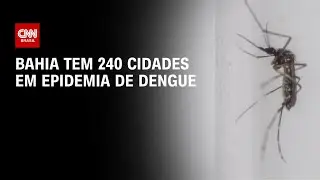 Bahia tem 240 cidades em epidemia de dengue | CNN PRIME TIME