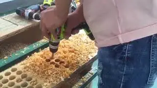 cordless drill xcort