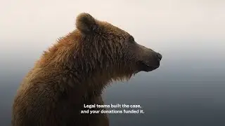 The power of the Sierra Club in action