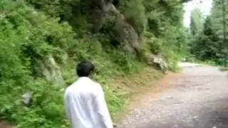 From Ayubia to Donga Gali 4 KM Trek 2