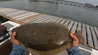 Late summer time fishing for huge   *FLOUNDER* | long month doormat classic tournament 2024 episode1