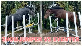 LOOSE JUMPING YOUNG HORSES // Eventer Vs Showjumper