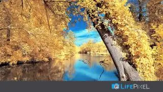 What we do at LifePixel - Infrared Camera Conversions