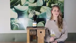 Wein erkl&auml;rt: Ribolla Gialla Venezia Giulia IGT Zorzettig Friaul Italien Wei&szlig;wein trocken