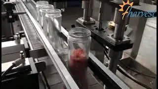 4 heads Linear filling onion seed,seed filling,granules filling machine,Glass bottle filling machine