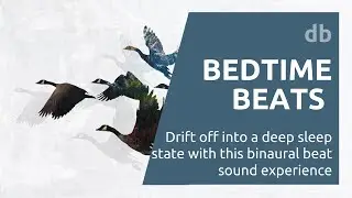 Binaural Beats: Better Sleep and Deep Relaxation with Alpha to Delta State (1 Hour)