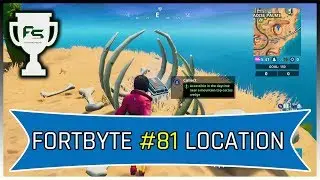 Fortnite: Fortbyte Challenge #81 - Accessible In The Daytime Near A Mountain Top Cactus Wedge