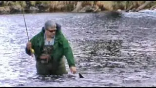 Grayling Fly FIshing