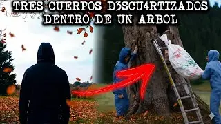 Nadie esperaba ENCONTRAR esto DENTRO de un &aacute;rbol | Tres CUERPOS , un CRIMEN salvaje. 