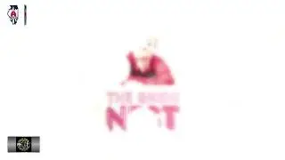 The Birds Nest Live Stream