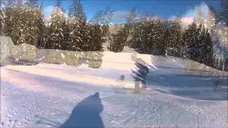 SHREDAHOLICS: Reece and Logan