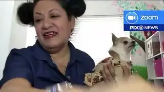 G Thing: Pet fashion designer finds unique ways to give back to animal rescue crews