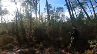Chasse &agrave; la b&eacute;casse f&eacute;vrier 2021