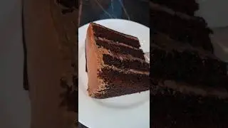 Nutella Cake Slice 🍫🍰 | Rich, Fudgy & Melt-in-Your-Mouth! 🤎🔥 #NutellaCake #ChocolateLovers