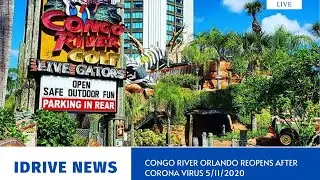 Congo River Mini Golf on IDrive Orlando Now Open - Baby Gators