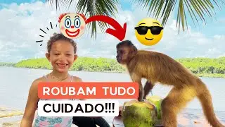 Incr&iacute;vel Passeio pelo Rio Pregui&ccedil;a (Vassouras, Mandacaru e Cabur&eacute;) | Fala Viajante