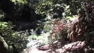 Camp Loma Mar walk