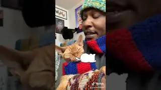 iAmMoshow & Dj Ravioli - I&rsquo;m a Cat freestyle