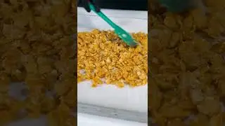 Milk Travel Cake