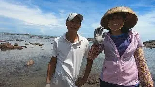 阿文带老婆去赶海，老婆运气爆棚抓的全是大货，回家就做成海鲜大餐