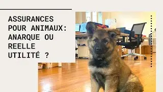 On d&eacute;couvre AGRIA : Assurances pour animaux : arnaque ou r&eacute;elle utilit&eacute; ?
