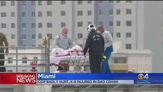 MDPD officer, K9 injured in crash