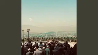 Setaarehaa