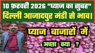 आज प्याज के बाजारों में अच्छा क्या ? Azadpur Delhi Mandi Today में 10-02-2026 के Onion Price DMT TV