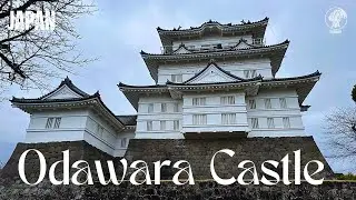 Odawara Castle &ndash; Samurai History & Stunning Views 🏯✨ - Japan Diaries | 019