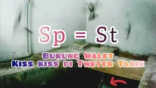 Penggunaan satu suara walet, Suara panggil = suara tarik||Suara panggil walet antah berantah