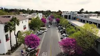 Beautiful Claremont California #claremontcalifornia
