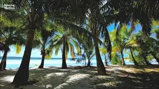 Beachside  Tranquility: Calming Piano Music for Study, Focus, Meditation, and Relaxation