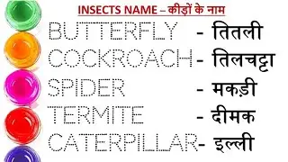 Insects name😗 कीड़ों के नाम || Insects name in english and hindi #study #sikho