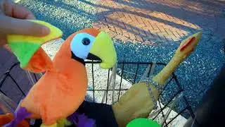 Key West LIVE Evening Bike Ride & Jimmy tribute -HD1080p