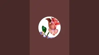 Gudiya ki Bugg  is live!