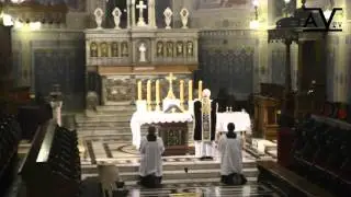 Msza Trydencka - Requiem w Katedrze w Płocku (26.11.15)