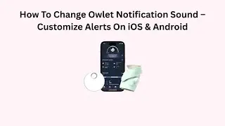 How To Change Owlet Notification Sound &ndash; Customize Alerts On iOS & Android