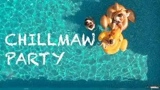 Chillmaw - Party [Official Video]