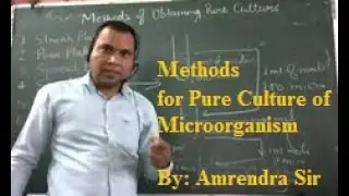 Methods for pure culture of Microorganism by Amrendra Pratap Yadav Sir