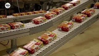 Hallum zoekt oplossing voor vol elektriciteitsnet: &ldquo;It komt foar dat in bedriuw ovens &uacute;tdwaan moat&rdquo;