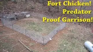 Fort Chicken!  Predator Proof Garrison!