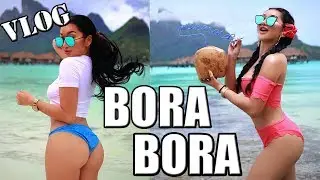 ADVENTURES IN BORA BORA || TRIPPIN WITH TARTE! PRIVATE JET, SWIMMING WITH SHARKS!