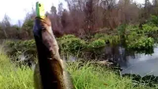 Street Fishing with RFS dan Gomoku Popper
