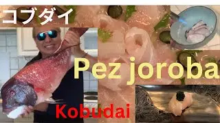 😋こぶだい😋Pez joroba😋Kobudai